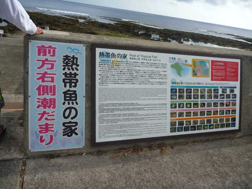 熱帯魚の家 Okinawa Non Stop Fishing ノンストフィッシング
