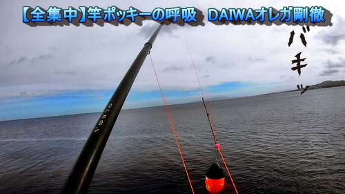 【全集中】竿ポッキーの呼吸！！DAIWA オレガ剛徹