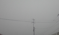 今日も雨です 2010/10/22 08:53:51