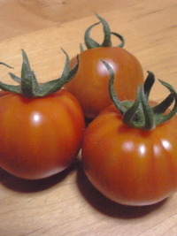 初収穫 2011/03/06 19:10:34