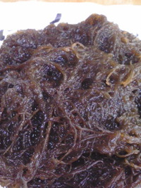 食材げっと 2011/03/19 14:56:46