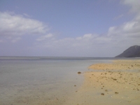浜下りなので 2011/04/05 14:58:41