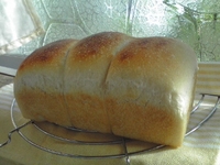 食パンできたかな？ 2011/04/05 17:05:21