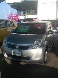 でました☆ 2013/01/11 09:12:08