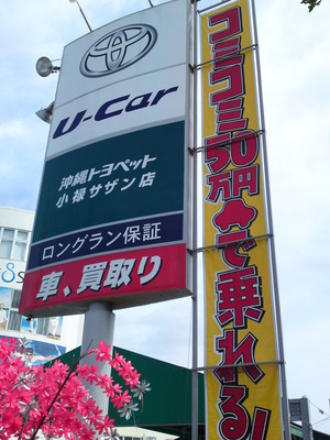 格安車ありますよ