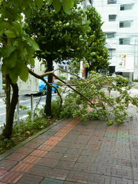 台風5号 2011/06/25 23:43:10