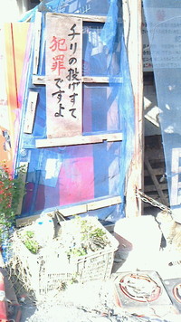 ディープな沖縄 2012/03/29 00:23:03