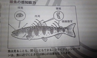 生態を理解すれば釣果に結びつくか？