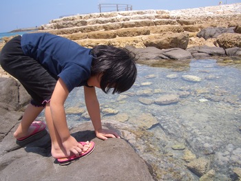 海開き
