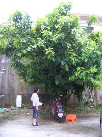 子育て仲間 2010/09/27 16:59:10