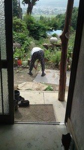 マムシが出た 2010/06/20 10:45:16