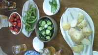 帰郷です。 2010/06/19 17:32:55