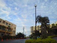 11月10日の記事 2011/11/10 07:38:40