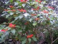 11月26日の記事 2011/11/26 08:51:24