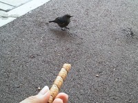 那覇空港にて…。 2011/12/11 13:06:25