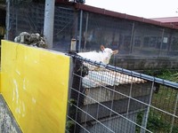あつい視線… 2012/01/14 15:03:22
