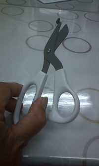舐めたらあかんゼヨ!? 2010/06/17 12:51:37