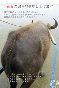 明けましておめでとうございます。 2009/01/01 07:00:00
