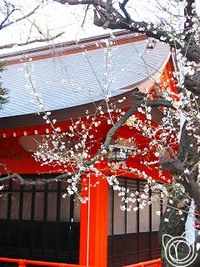 新宿花園神社
