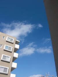 新しい命に～♪ 2011/10/06 09:52:42