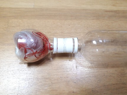 自然日記:水ロケットほぼ完成しました！