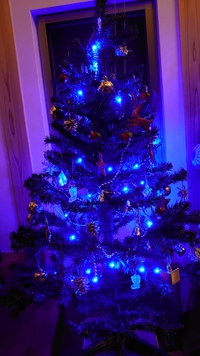 クリスマスパーティー♪