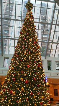 ☆Merry Christmas☆ 2016/12/25 11:53:51