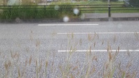 今日の出来事 2017/10/12 18:58:03