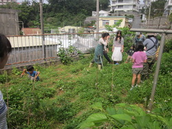 ４月の野草サロン終了しました♪