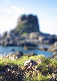 岩合光昭写真展の話 2012/07/22 23:08:13
