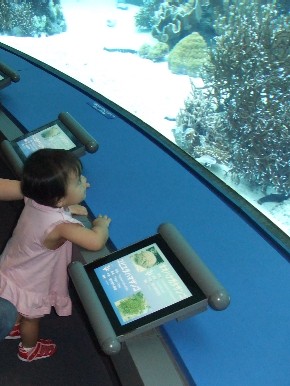 ちゅら海水族館へ行く