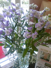 　　お花でございます。 2010/11/17 18:22:56