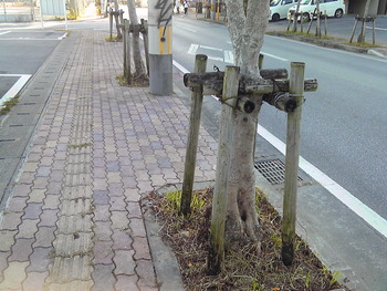 今年最後のよろこび隊