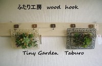 Tiny　Gardenさん☆ 2010/02/27 18:13:33