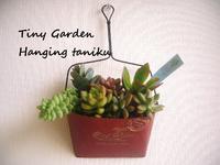 Tiny　Gardenさん 2010/03/02 13:26:37