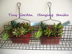 Tiny　Gardenさん