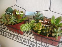 Tiny　Gardenさん