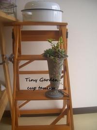 Tiny　Gardenさん