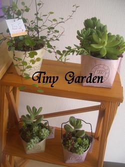 Tiny　Gardenさん