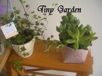 Tiny　Gardenさん