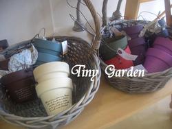Tiny　Gardenさん