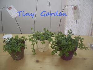 Tiny　Gardenさん