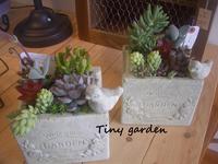 Tiny　Gardenさん 2010/03/22 18:40:52