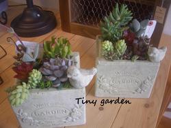 Tiny　Gardenさん