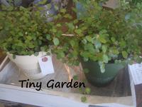 Tiny　Gardenさん