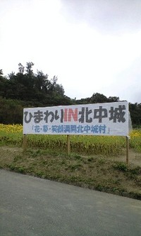 北中城村ひまわり畑 2009/02/16 14:43:26